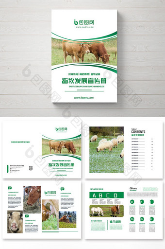 2018整套新版畜牧业发展画册图片