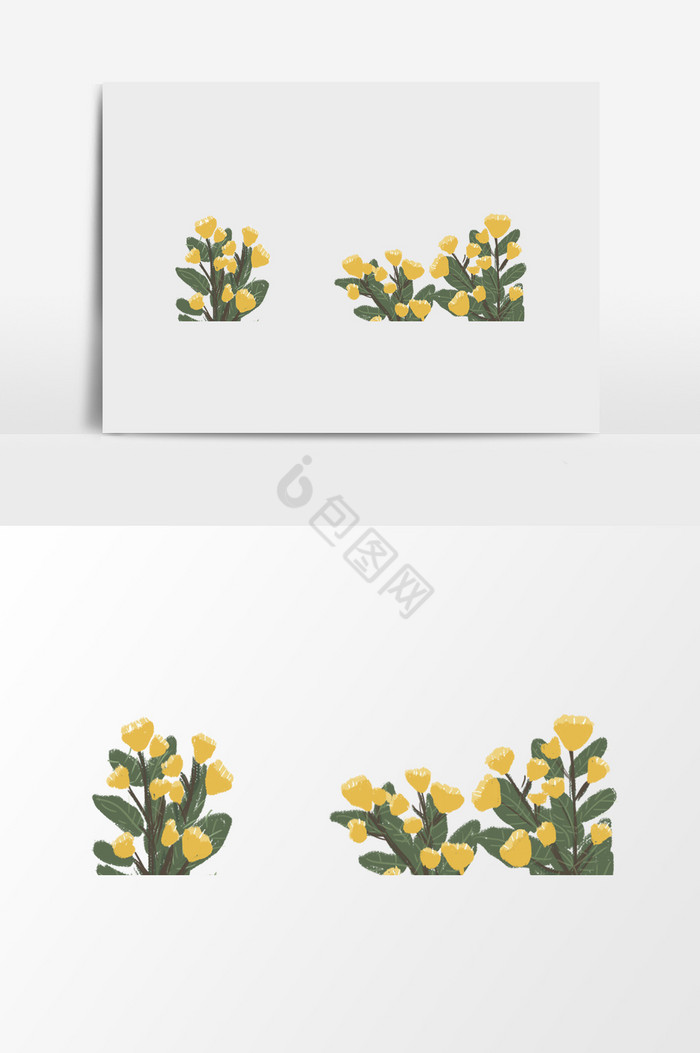 植物叶子小黄花图片