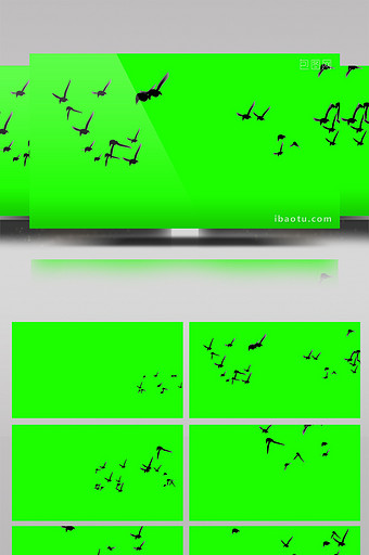 群鸟飞绿屏抠像绿幕视频素材图片