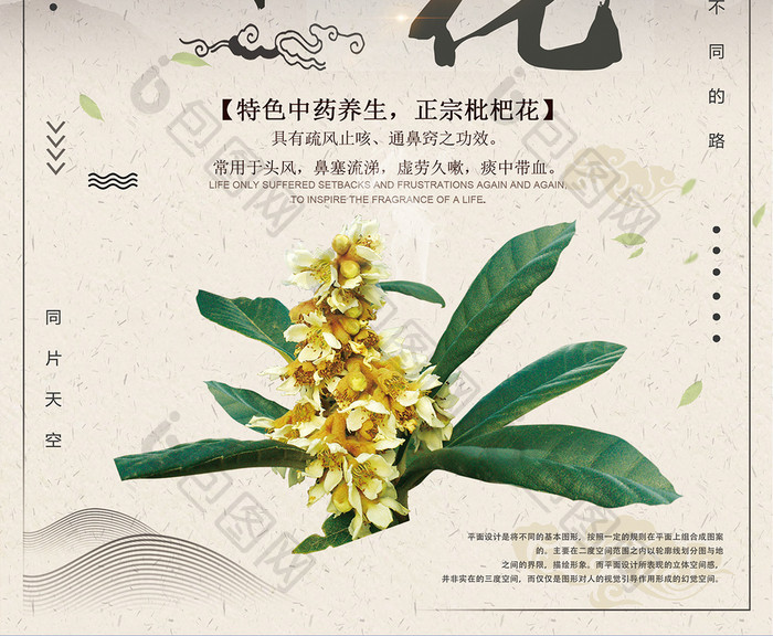 简洁中国风枇杷花海报设计