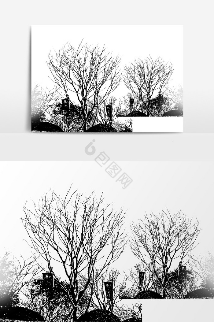 树木枯树木图片