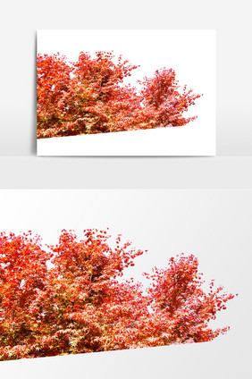 红色树木枫叶元素素材