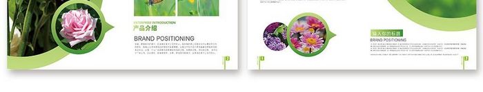 清新大气野生植物画册