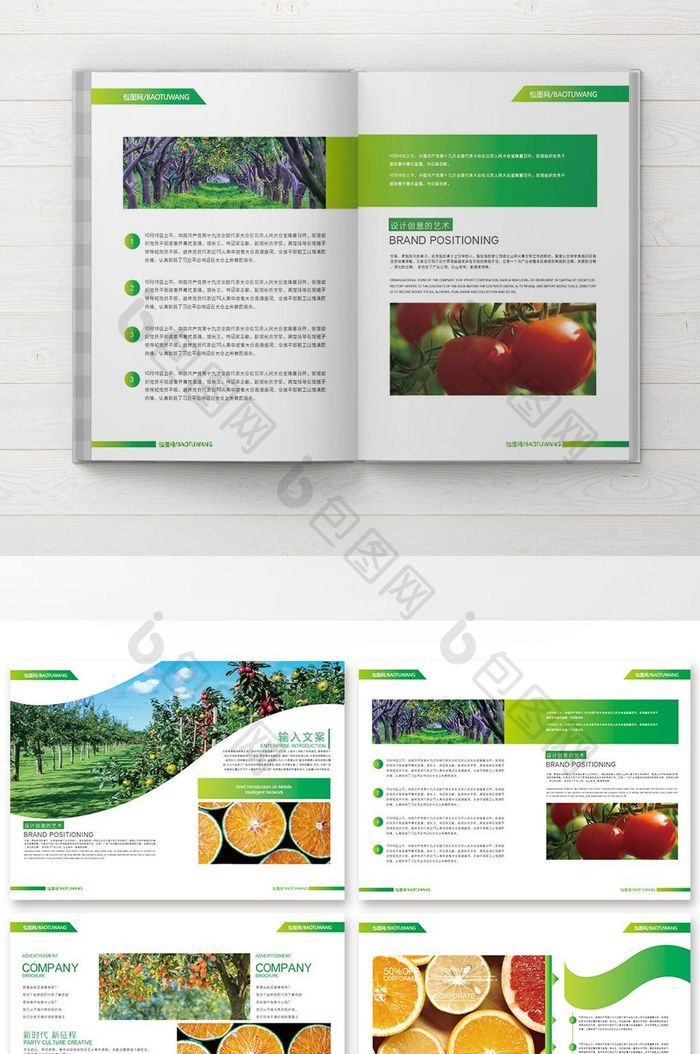 2018渐变绿色水果食品整套画册设计