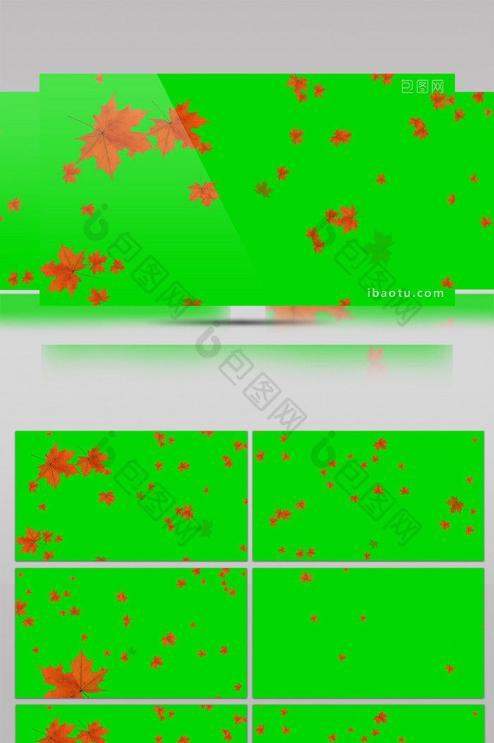 飘落的枫叶绿幕素材