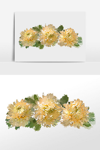 花卉系列白色大菊花水彩手绘插画图片