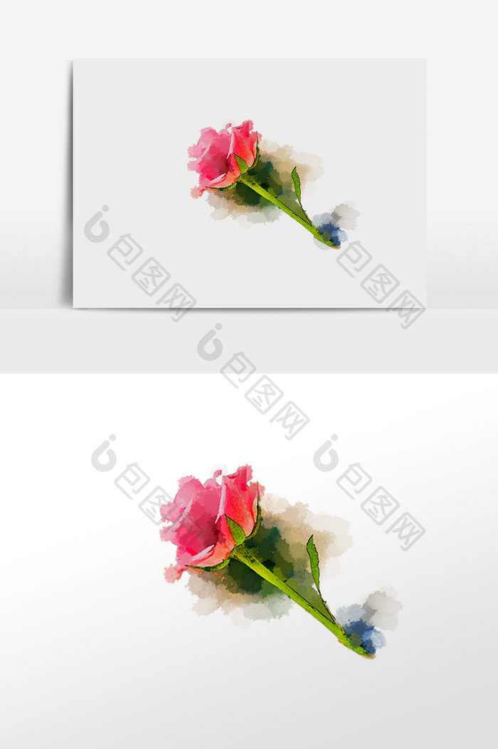 花卉系列粉红玫瑰水彩手绘插画