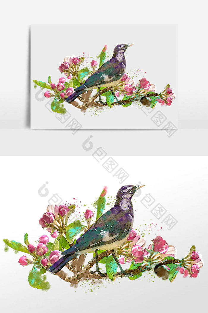 花卉系列樱花树枝上的小鸟水彩手绘插画