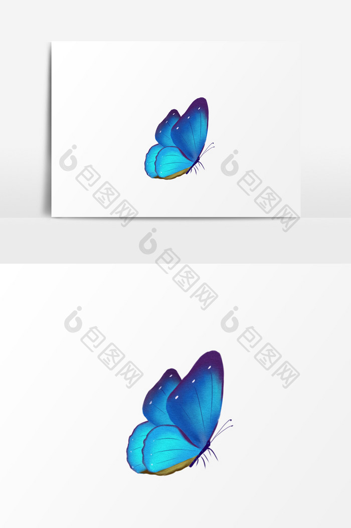 蓝色蝴蝶插画元素