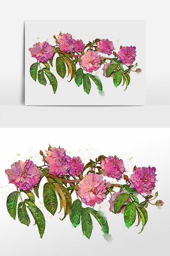 花卉系列粉色花朵花枝水彩手绘插画图片