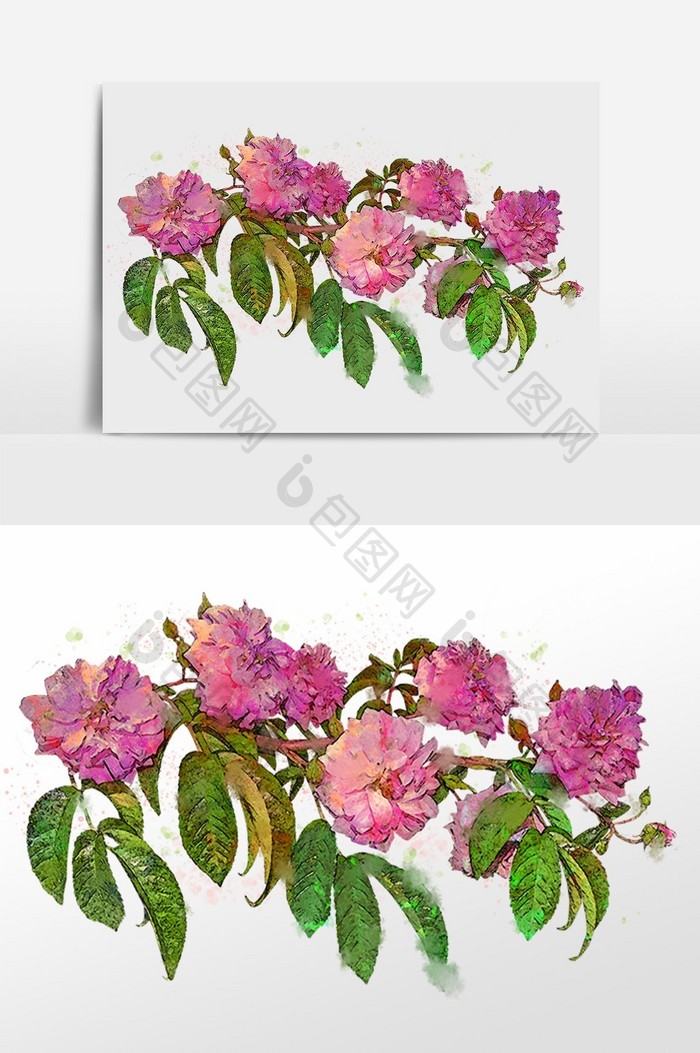 花卉系列粉色花朵花枝水彩手绘插画