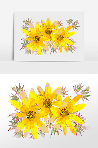 花卉系列黄色小雏菊水彩手绘插画图片