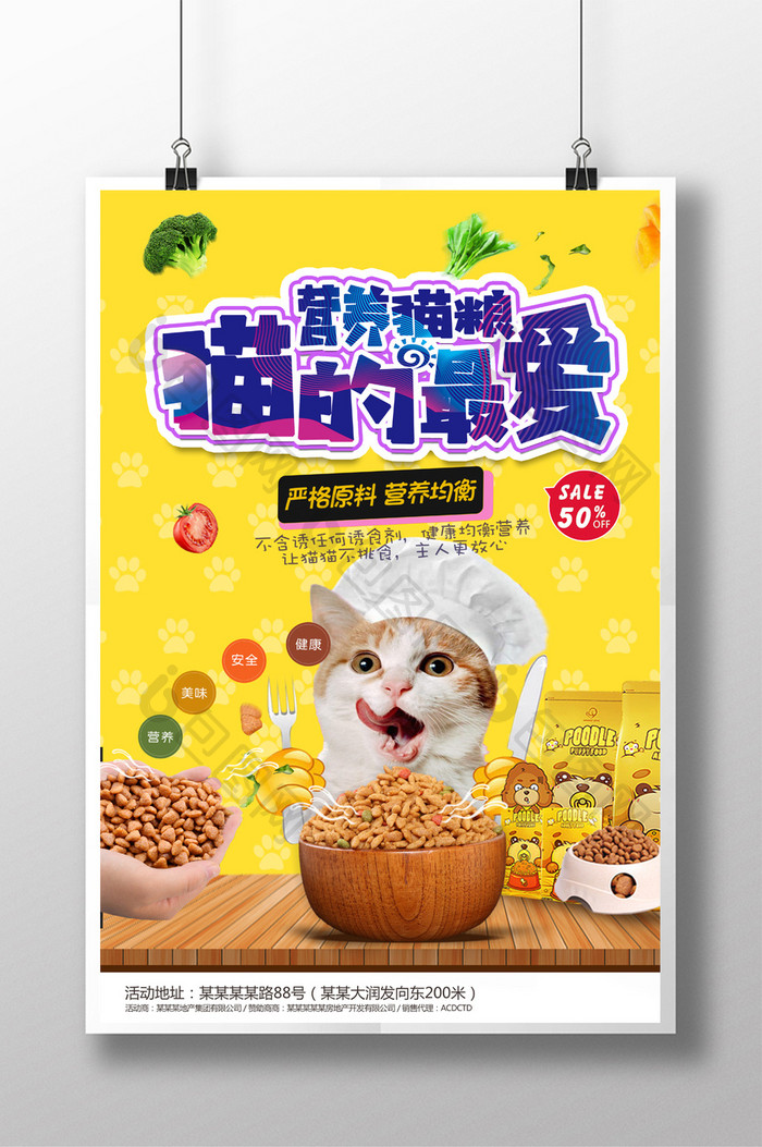猫粮 宠物猫海报