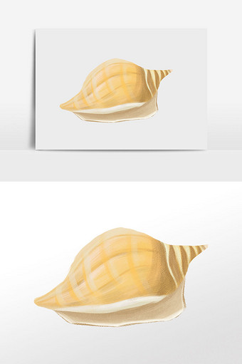 卡通手绘海边贝壳海螺插画元素图片