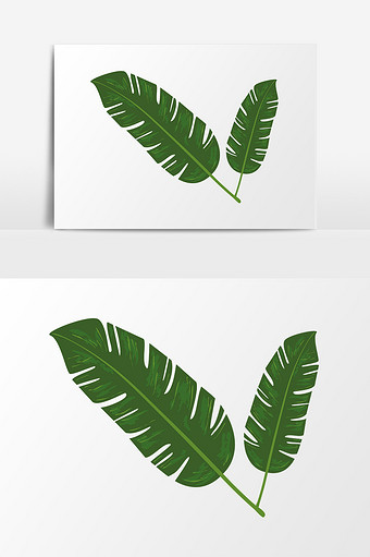 绿色芭蕉叶插画元素素材图片