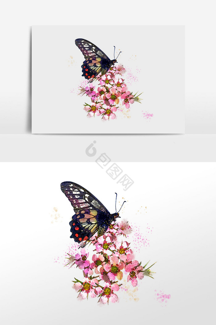 花卉小花花丛和蝴蝶插画图片