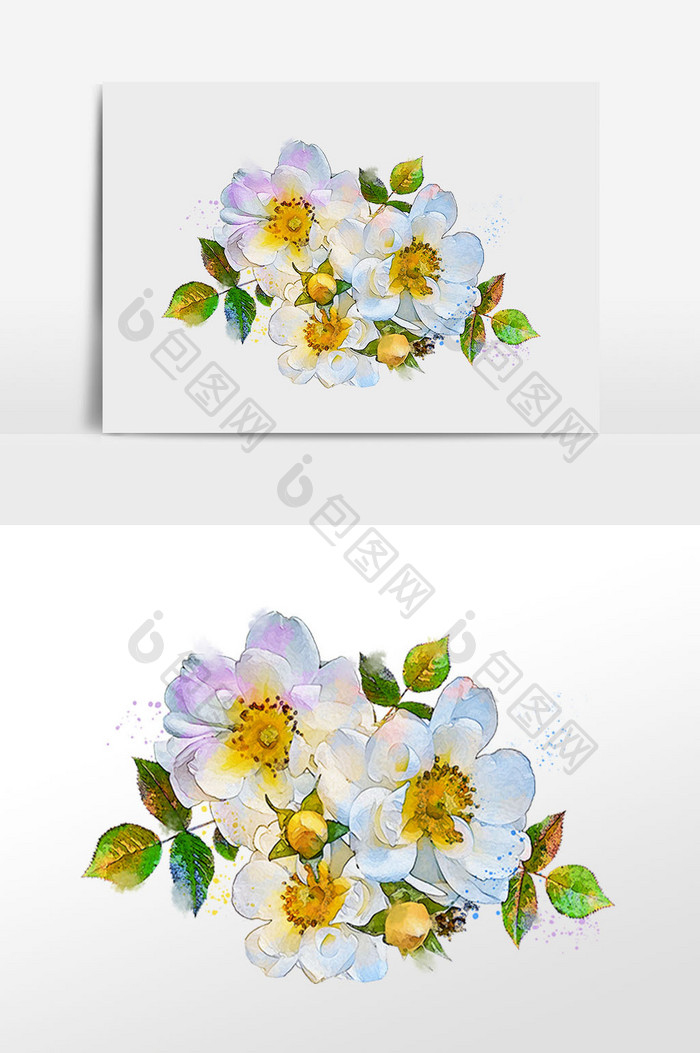 花卉系列三朵白色山茶花花骨朵水彩手绘插画