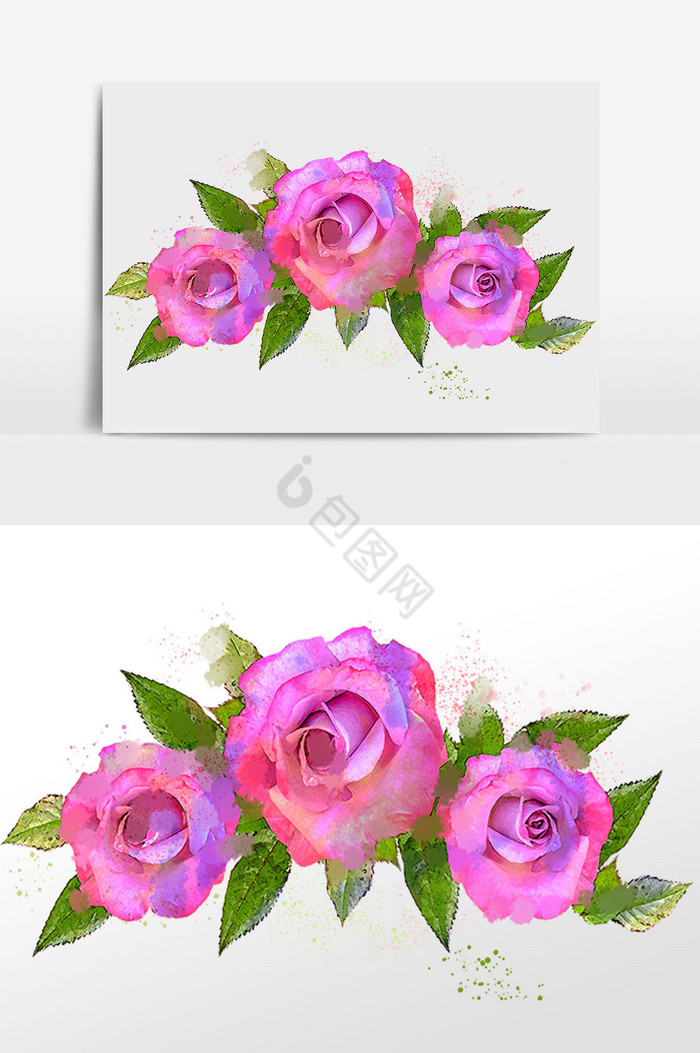 粉色玫瑰花图片-粉色玫瑰花素材免费下载-包图网