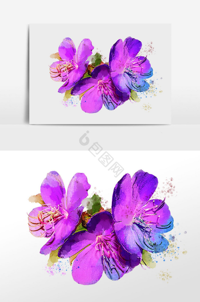 花卉三朵小花插画图片