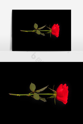 玫瑰爱情设计元素图片