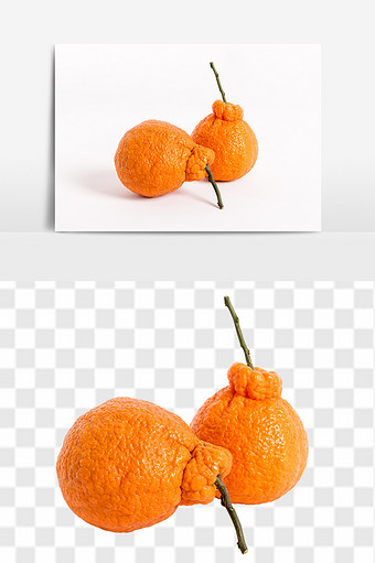 新鲜橘子丑橘高清水果元素食品素材图片