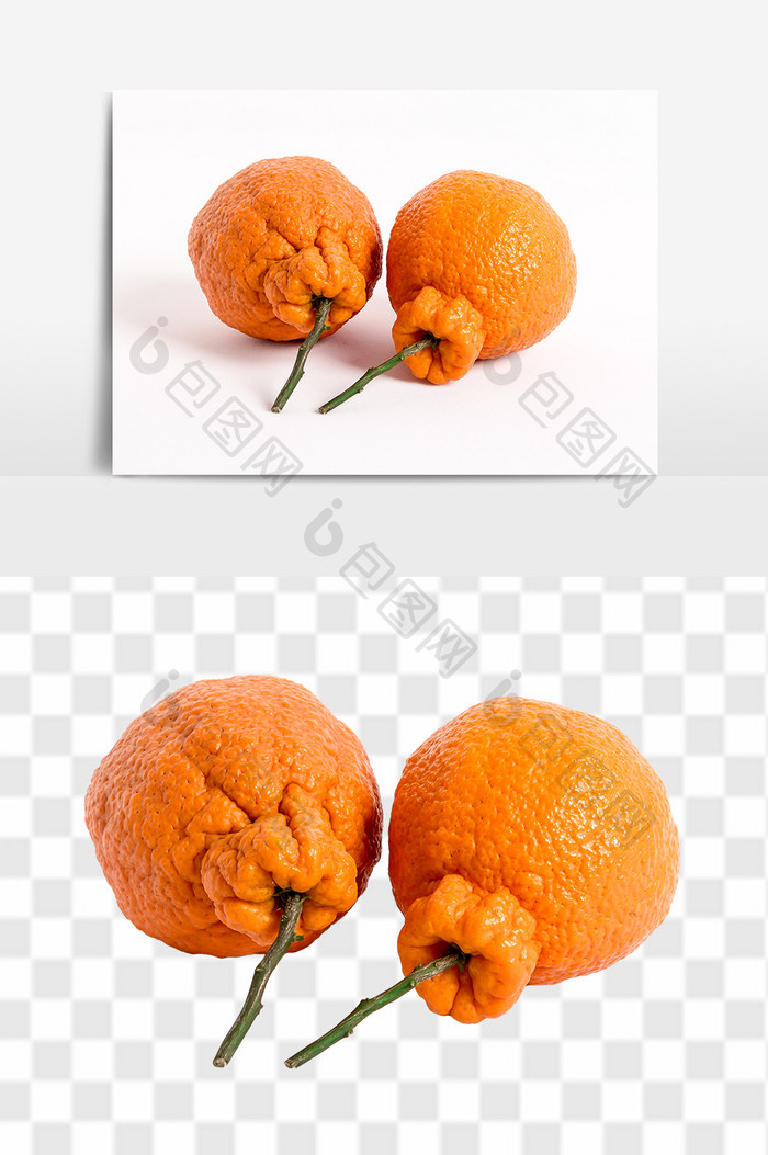新鲜丑橘橘子高清水果元素食品素材