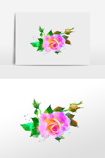 花卉系列粉色玫瑰花水彩手绘插画图片