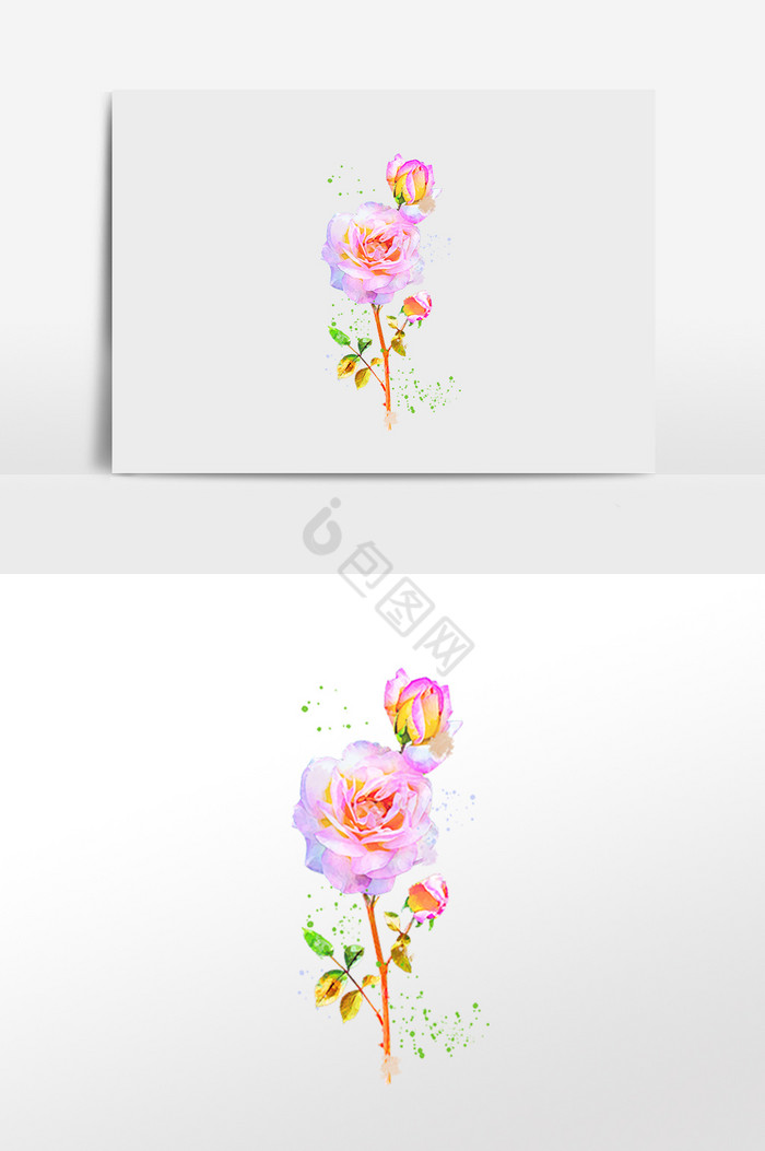 粉色玫瑰花图片-粉色玫瑰花素材免费下载-包图网