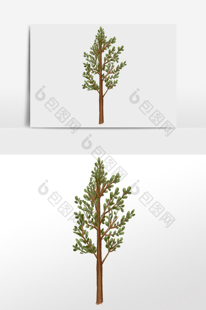 版本树木图片图片