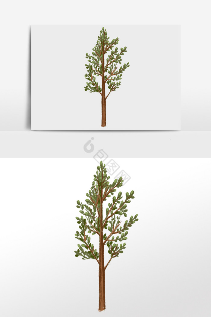版本树木图片