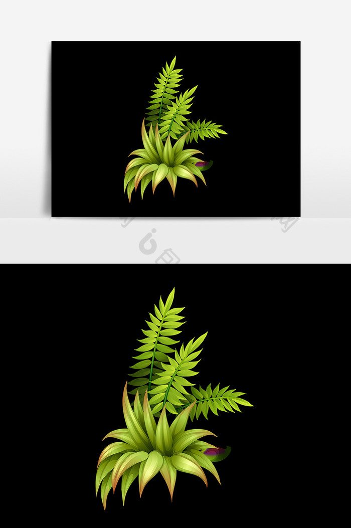 植物小草图片图片