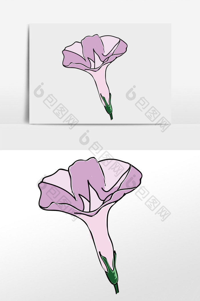 夏天卡通牵牛花 图片下载 包图网