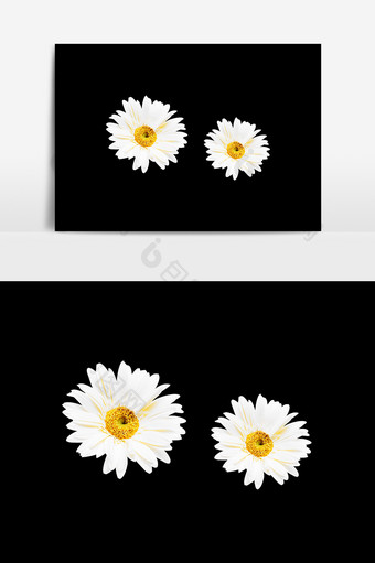 白色纯洁花朵设计元素图片