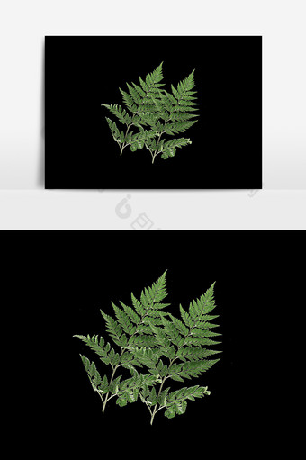 绿色植物设计元素图片