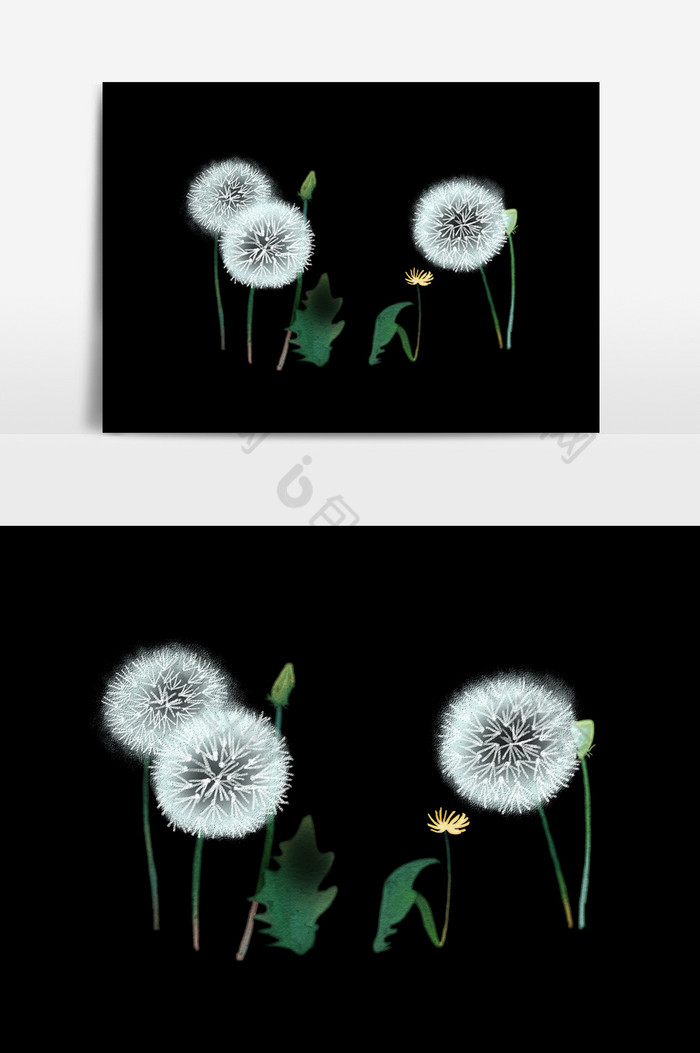 北欧花卉水彩画图片