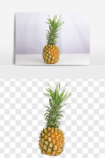 新鲜热带凤梨菠萝高清免抠透底水果元素素材图片
