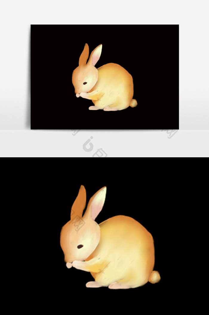 兔子保护动物风光图片