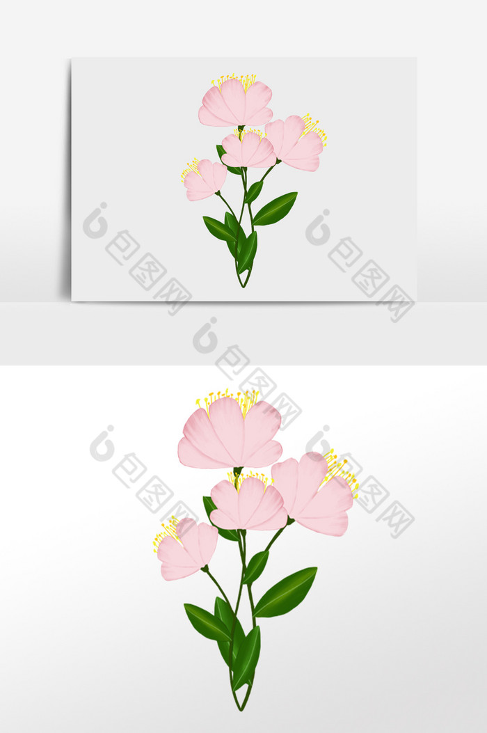 粉色的花手绘花卉系列图片