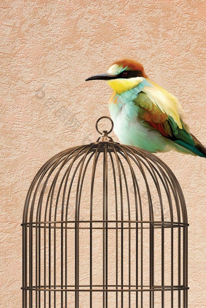 现代意境动物小鸟鸟笼装饰画客厅挂画