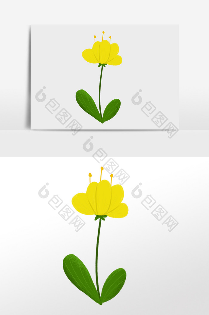 花卉系列手绘插画元素黄色的花