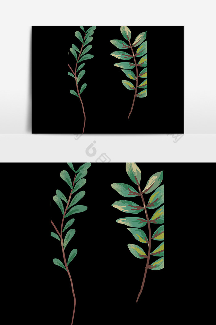 植物叶子嫩叶图片