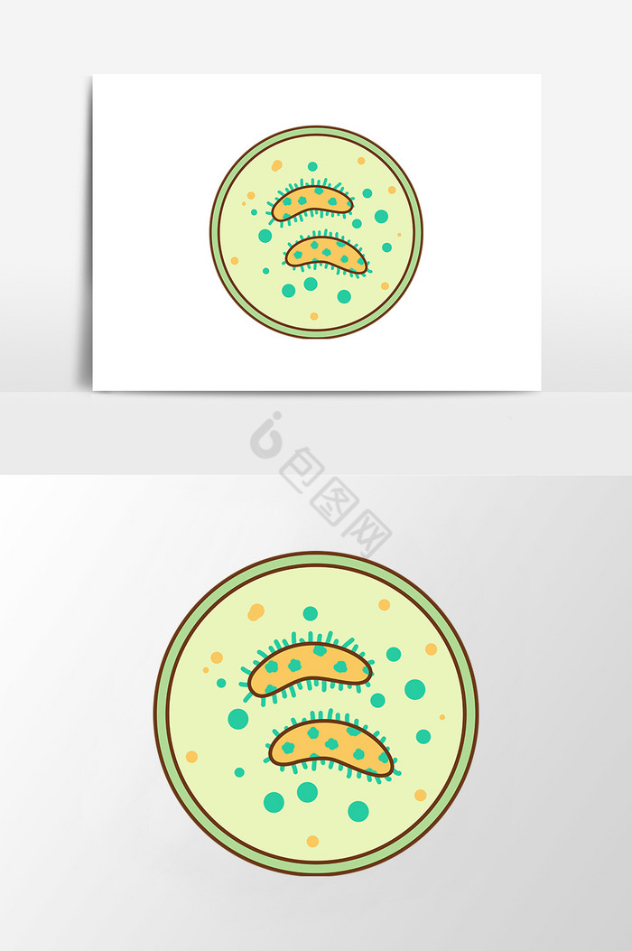 化学分子细菌图片