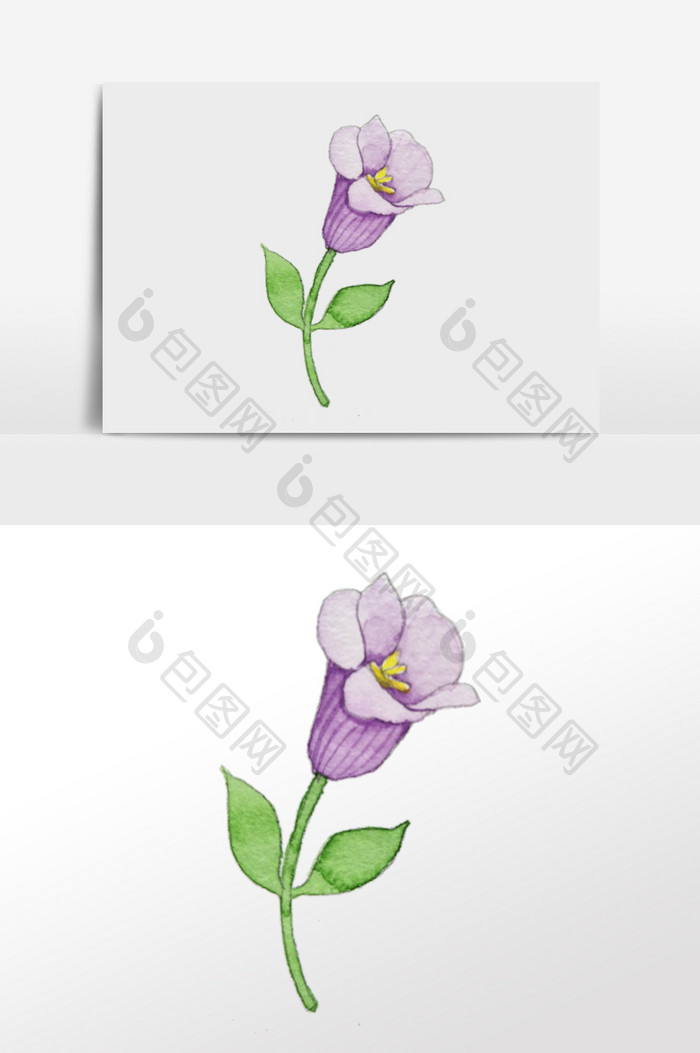 紫色手绘水彩花朵元素