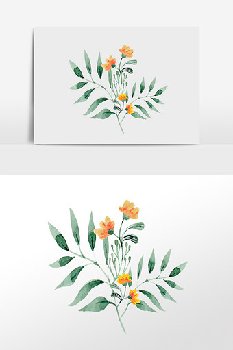 清新水彩植物花卉插画元素图片