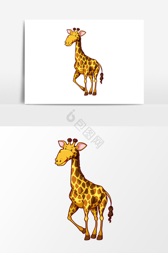 动物花斑长颈鹿图片