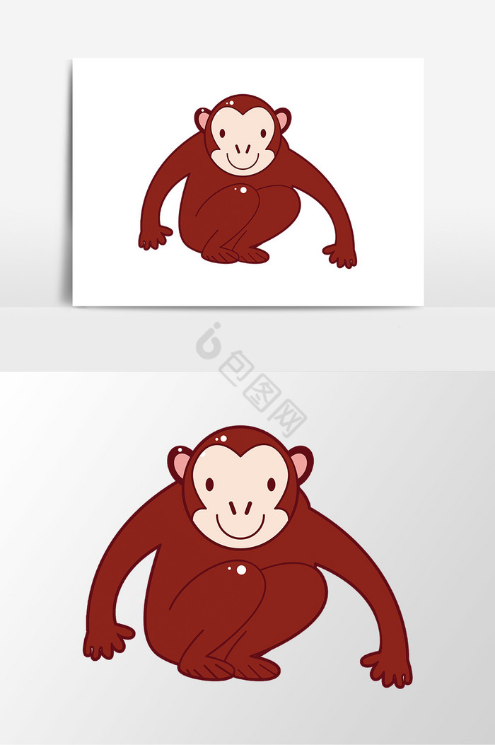 动物猴子图片