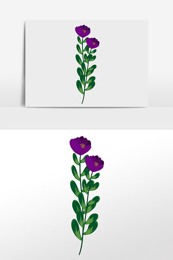 花卉系列紫色小花花水彩插画图片