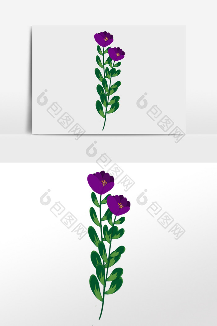 花卉系列紫色小花花水彩插画