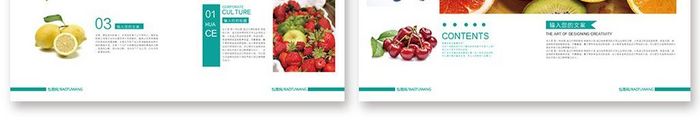 2018 绿色水果食品整套画册设计