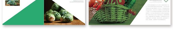 绿色农业科技画册